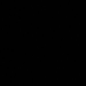 Meet your Posher, Brady